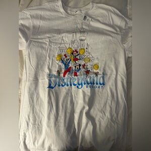 Disney Mickey, Minnie, goofy Daisy cheerleading T-shirt, size M NWT
